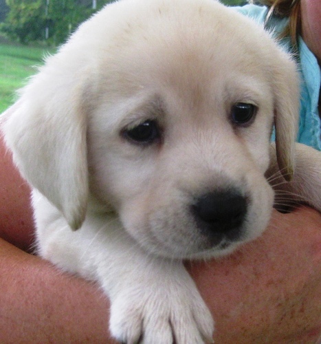 Dotcompost's profile picture. Turning garbage into gardens and making the entire planet smile.