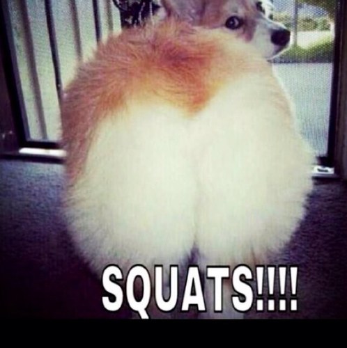 HelpMeGetFitt's profile picture. Hippie, fittie, vegetarian, feminist, animal advocate, deep thinker, tree hugger, 15 and free.