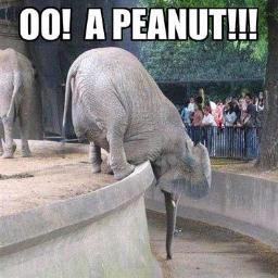 CarolynBuffer's profile picture. This is @CaroKopp's test account for @buffer.