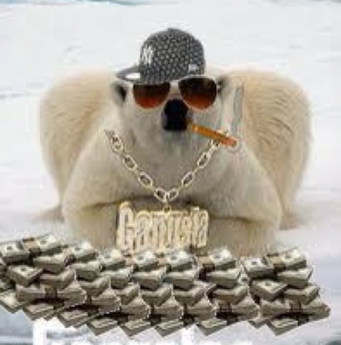 PolarBearOSSLT's profile picture. 