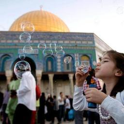 zzz_baa's profile picture. 