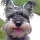 Eric Lara - @EricSamaritan - Twitter