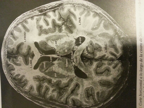 mad_mariano's profile picture. Medico psiquiatra - bicicleta - correr