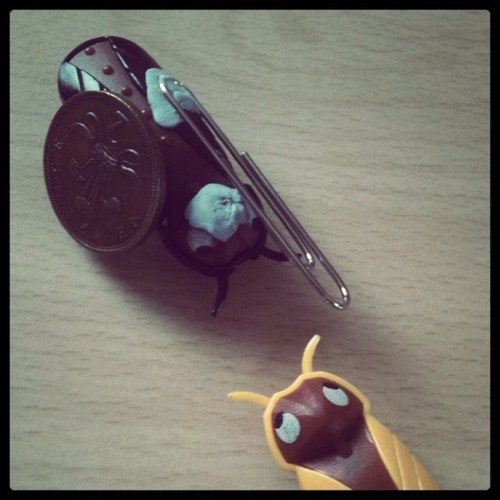 shipmatefour's profile picture. 