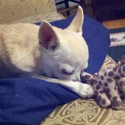 janeapex's profile picture. 