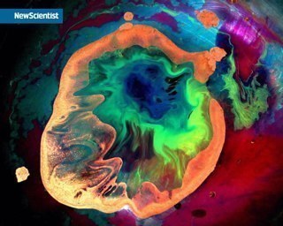 HoebeeMD's profile picture. Identify, comment, share