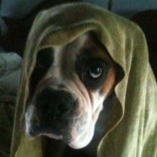 lj1054's profile picture. 