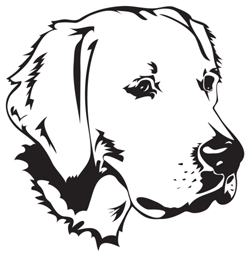 GreenBoyBrand's profile picture. green boy brand is all about being casual and comfortable while maintaining a sense of style.