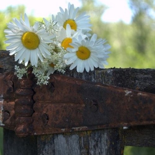 prwebster67's profile picture. Christian wife, proud mother of three and follower of Jesus Christ!