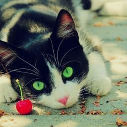 Lucky