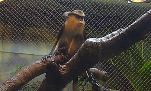 LeoHardie's profile picture. Peace and Love