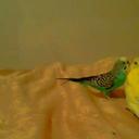 alfredo soler torres - @alfredosotorres - Twitter