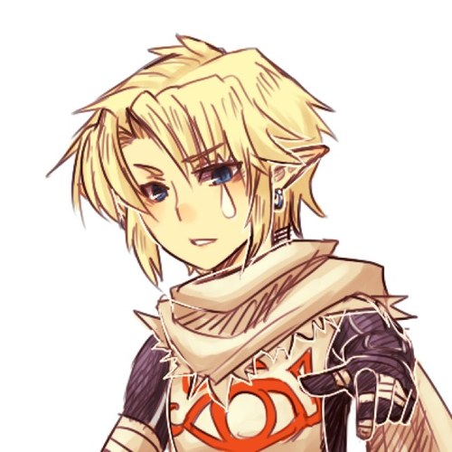 I am a young warrior of the Sheikah clan... my people once were guards to the Royal Family... My sister is @SheikaOfThePast