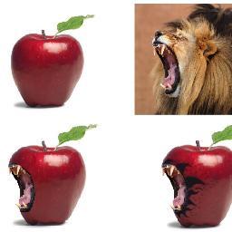 samthetweet's profile picture. ♫ Imagine all the people living life in peace ∞