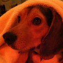 Michelle McMichael - @McshellsMm - Twitter