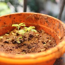 XaviersCouncil's profile picture. Innovation Hub at St. Xavier's College. Young India's interest in policies, business, non-profits, individuals, orgs & global events grounded in social reality.