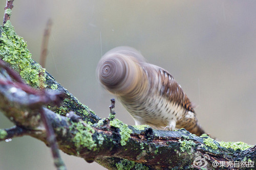 aiiibiii's profile picture. 