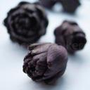 vince walker - @chefphotographs - Twitter