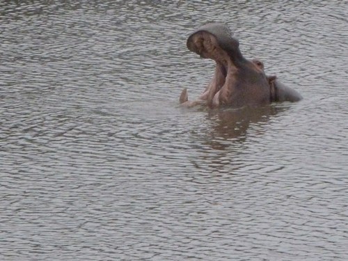 Christi82501793's profile picture. 