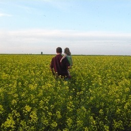 FinkAdamk's profile picture. 