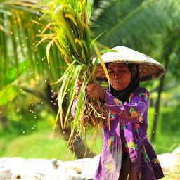 Keindahan sejati tak bisa dilihat oleh mata, hanya hati yang mampu merasakan keindahan sebenarnya.
