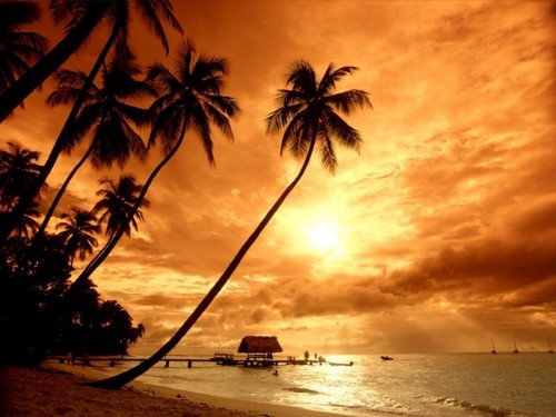 Nothing exists without music, Universe itself is composed by a harmony of sounds, DaNcE with the tones of that harmony.