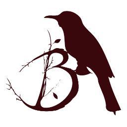 birdaytrip Profile Picture