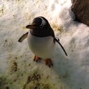 Eric Webster - @WebsterEric - Twitter