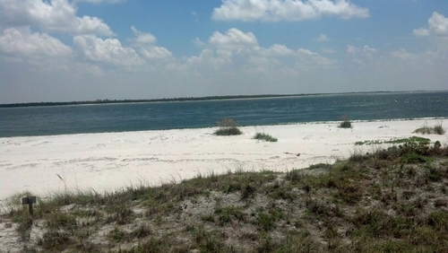 MrsBig_Mik28's profile picture. 