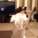 Marie Wakefield - @wakefield_finn - Twitter