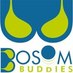 Bosom Buddies (@_bbsportsbras_) Twitter profile photo