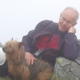 gsimpso4's profile picture. Author, scientist, application designer, specialist in business decision analytics