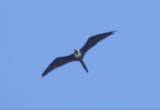 thedeptofclouds's profile picture. Sick of it.