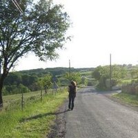 Han (@vetunleashed) 's Twitter Profile Photo Han (@vetunleashed) 's Twitter Profile Photo