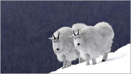 tania1985kkk's profile picture. 