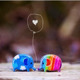 BeritaBodor1's profile picture. 