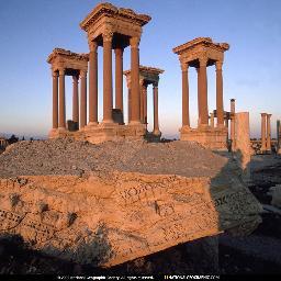 guess73748's profile picture. 