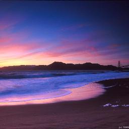 violin85670's profile picture. 