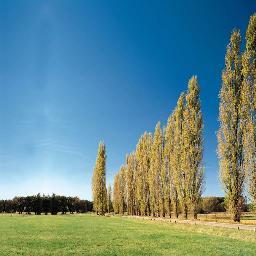 sejin61411's profile picture. 