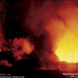 skirt17774's profile picture. 