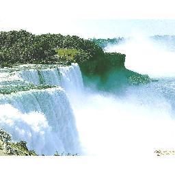 stand36351's profile picture. 