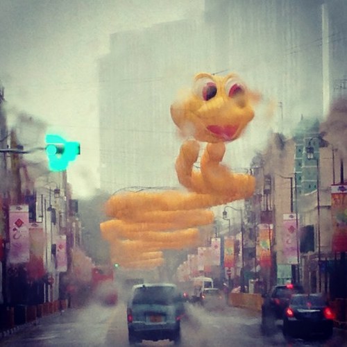 RusanBicuri's profile picture. 