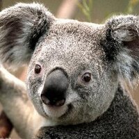 Alex Pascal (@alexpascal2001) 's Twitter Profile