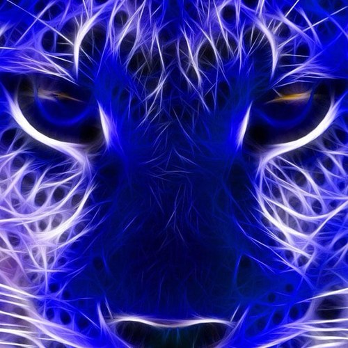 bigdiamondgirl's profile picture. 