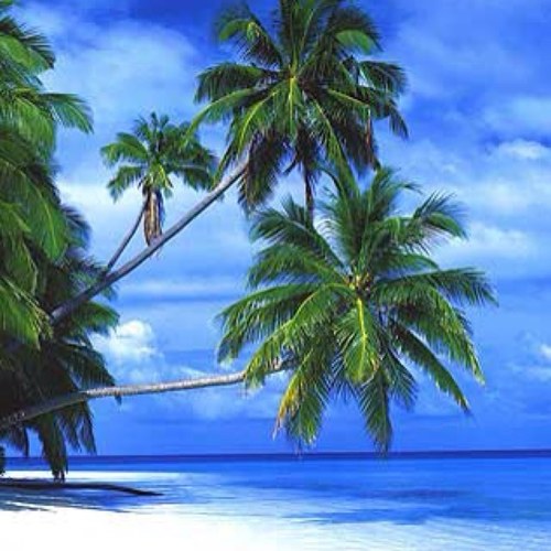 totalways's profile picture. Make your dream holiday and find out more.
Find the best deals for hotels in our database by comparing multiple providers!
(INSTAGRAM): TOTALWAYSCOM