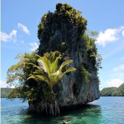 ElMundoEnFoto_'s profile picture. ¿Eres nuevo en Twitter? Te recomiendo que sigas tres cuentas fantasticas. @NationalGeograC, @iCURIOSIDADESi, @ElMundoEnTweet TE ENCANTARAN!!!