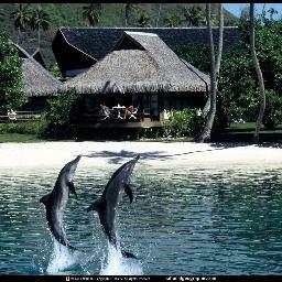 manufactur53508's profile picture. 