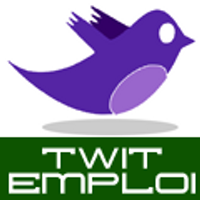Twit Emploi (@twitemploi) 's Twitter Profile