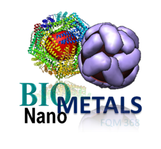 BioNanoMet Profile