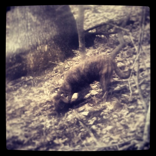 TylerMaxwell18's profile picture. 